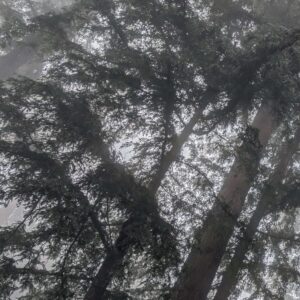 Misty Blanket Three Panel - Image 2