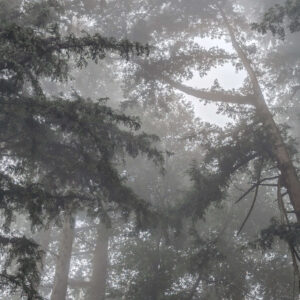 Misty Blanket Three Panel - Image 3