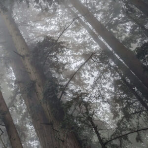 Misty Blanket Three Panel - Image 4