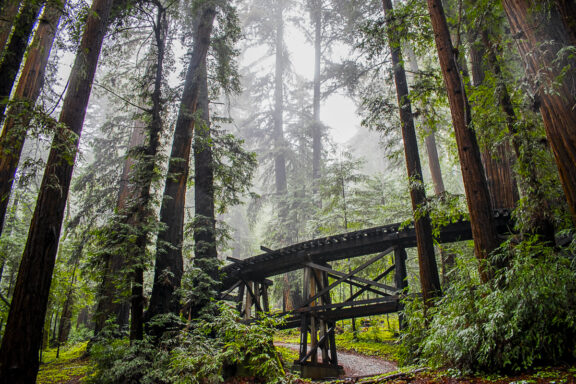 Bridge to Nowhere