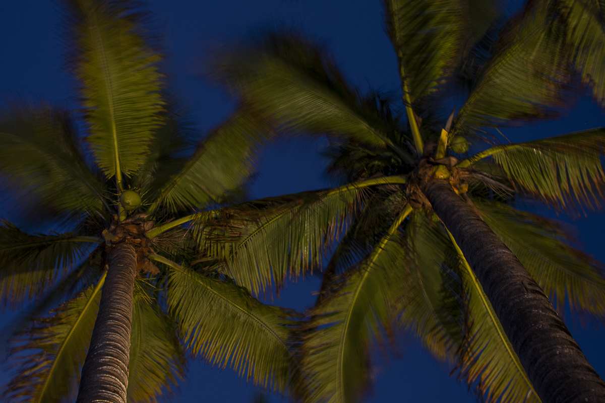 Coastal Landscape Fine Art titled Ceiling Fans by Philip J. Guettler.