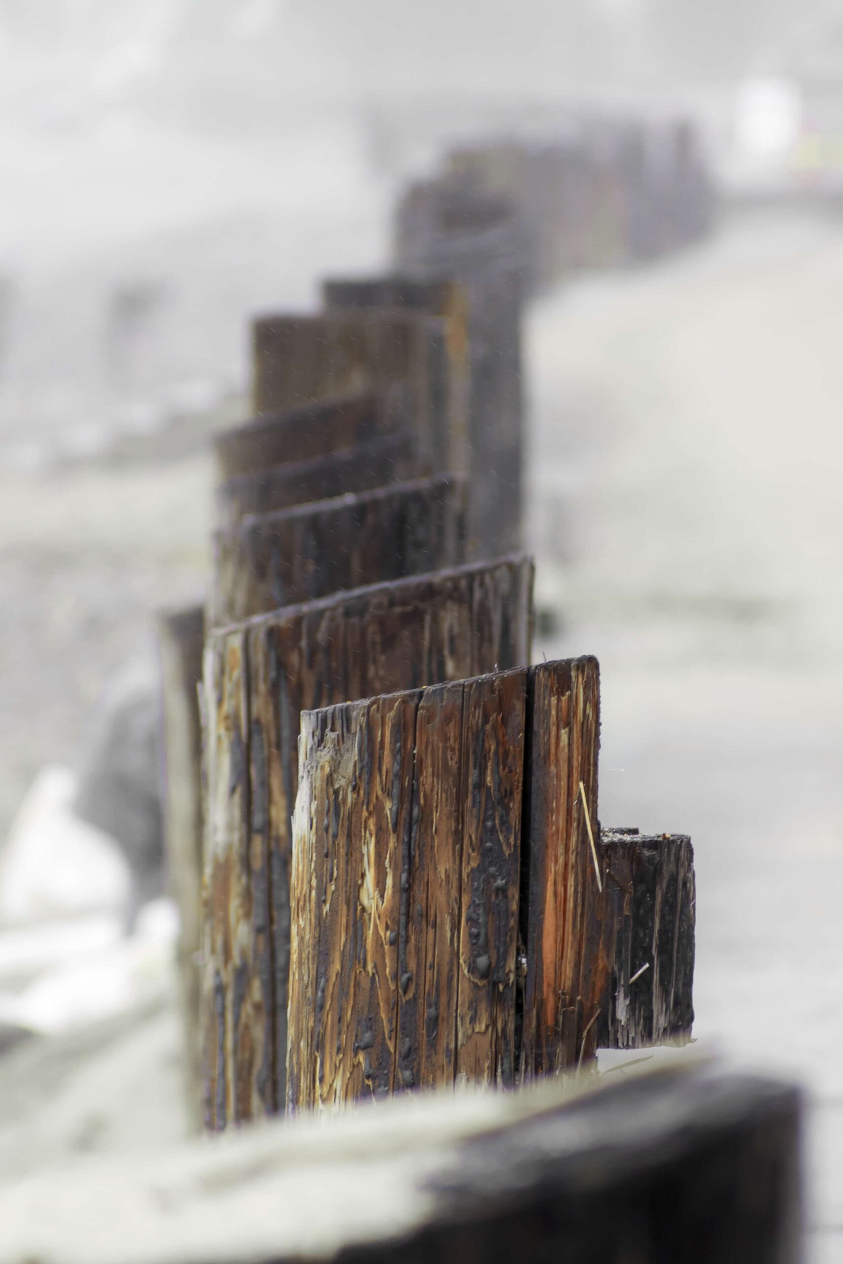 Ocean Landscape Fine Art titled Follow Me, featuring a curved row of pylons in Northern California.