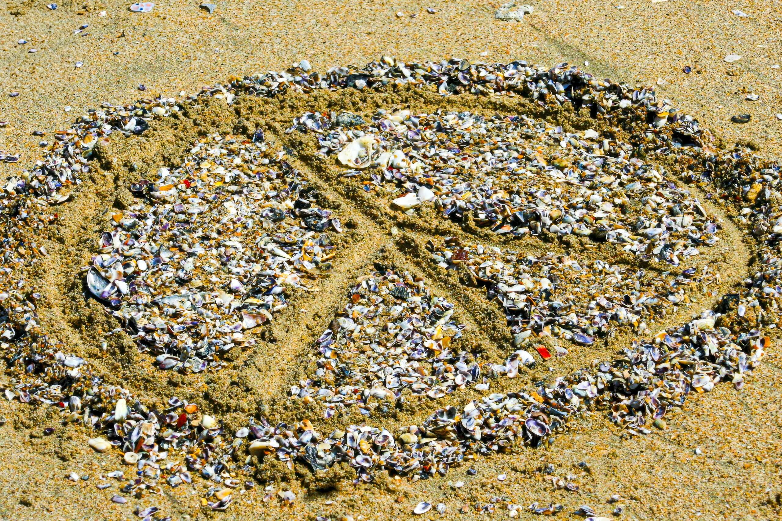 Coastal Landscape Fine Art titled Fragile Peace, a peace sign made of shells on sand.