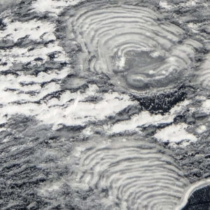Icy Fans Three Panel - Image 3
