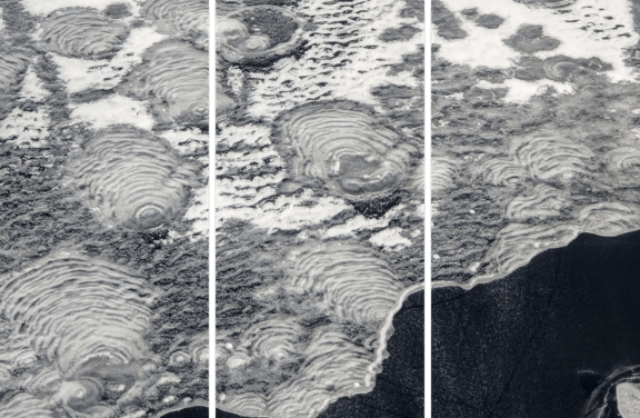 Icy Fans Three Panel