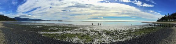 Low Tide