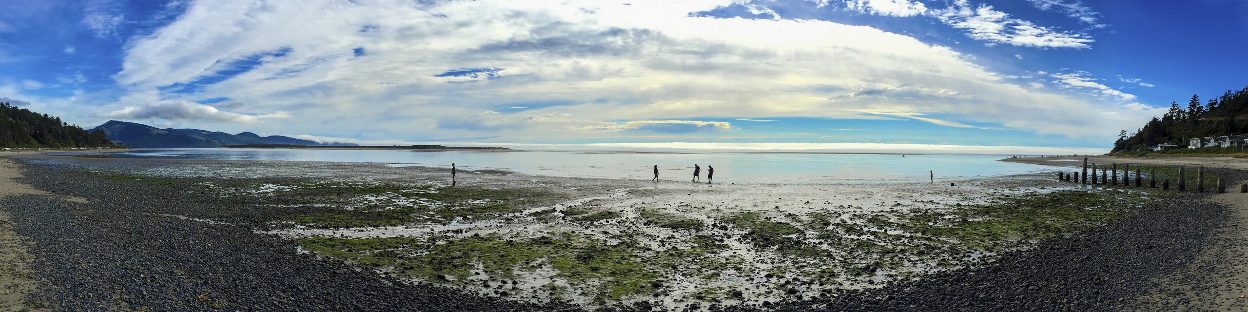 Ocean Landscape Fine Art titled Low Tide by Philip J. Guettler.