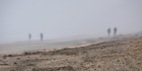 Ocean Landscape Fine Art titled Misty Figurines by Philip J. Guettler.