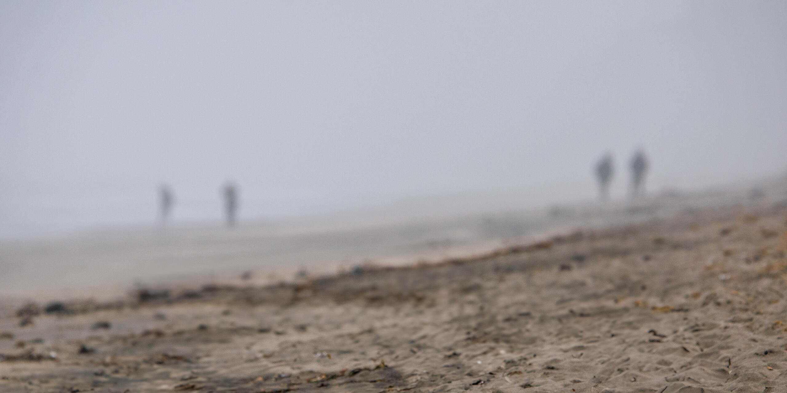 Ocean Landscape Fine Art titled Misty Figurines by Philip J. Guettler.