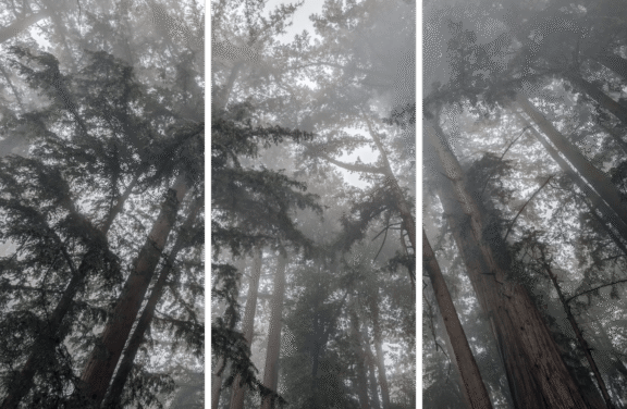 Misty Blanket Three Panel