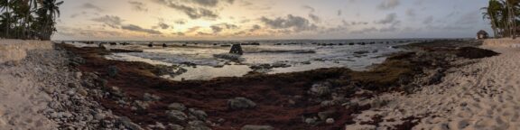 Morning Cove
