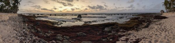 Ocean Landscape Fine Art titled Morning Cove by Philip J. Guettler.