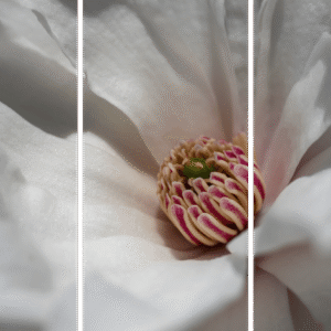 Spring Wildflower Art Print titled Peppermint Surprise by Philip J. Guettler.