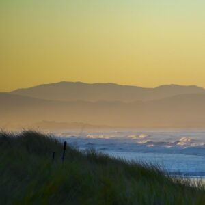 Portrait of a Sunrise Three Panel - Image 2