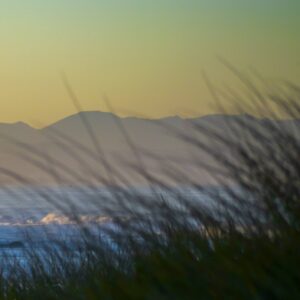 Portrait of a Sunrise Three Panel - Image 4