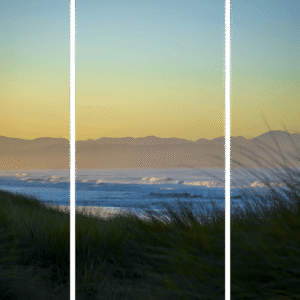 Coastal Landscape Fine Art titled Portrait of Sunrise, panoramic triptych of golden grass and ocean