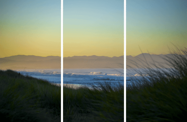 Coastal Landscape Fine Art titled Portrait of Sunrise, panoramic triptych of golden grass and ocean