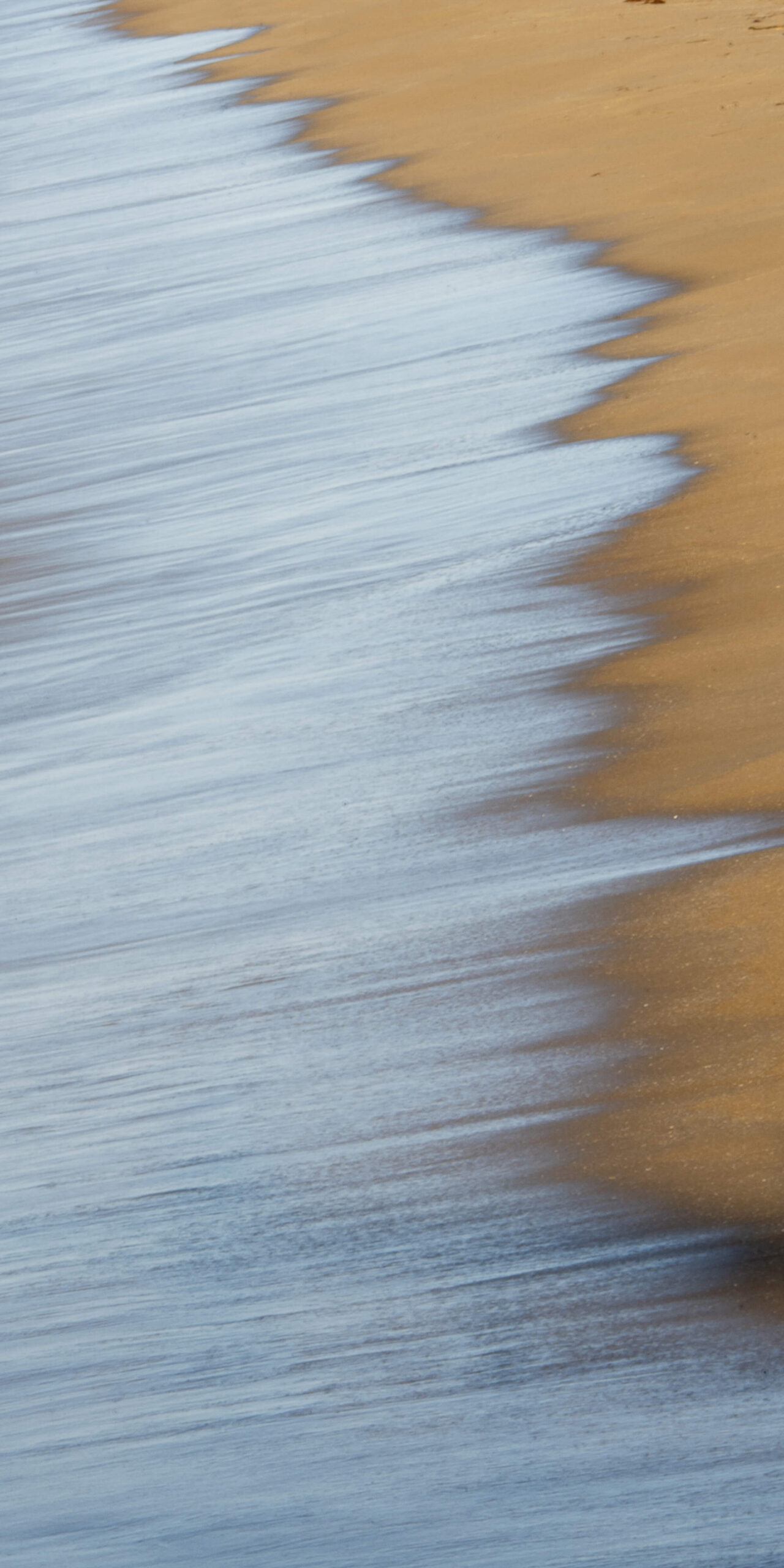Wispy Shoreline Three Panel - Image 4