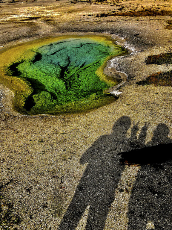 Peace Pool