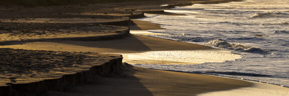Scalloped Shores