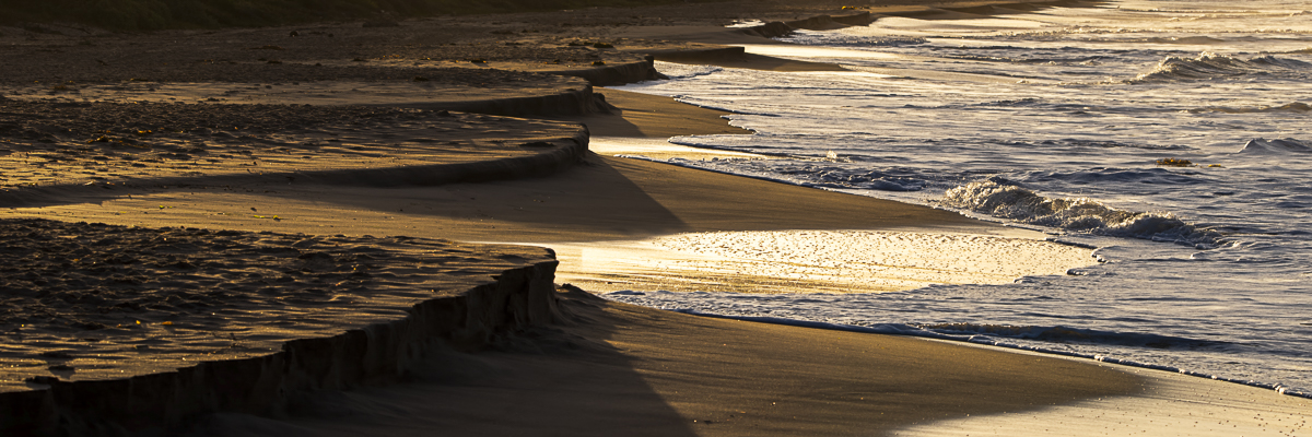 Ocean Beach Landscape Print titled Scalloped Shores by Philip J. Guettler.