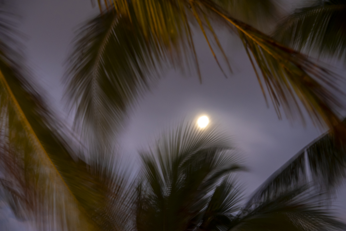 ropical Beach Fine Art titled Summer Breeze by Philip J. Guettler.