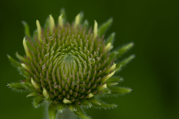 Unfolding