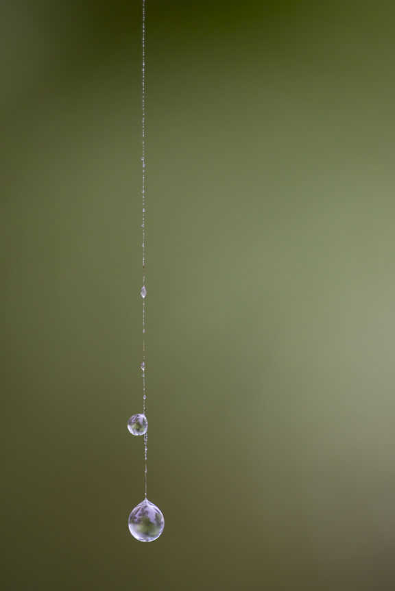 By a Thread