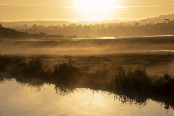 Nature Fine Art Print titled Misty Marsh Sunrise, featuring golden morning fog over a wetlands landscape.